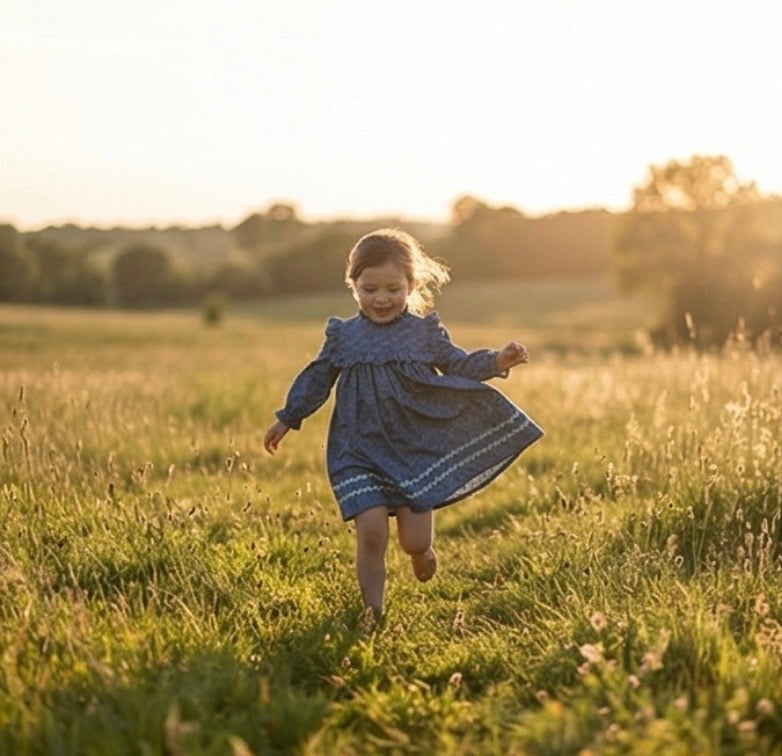 Blue Cornucopias Rickrack Dress